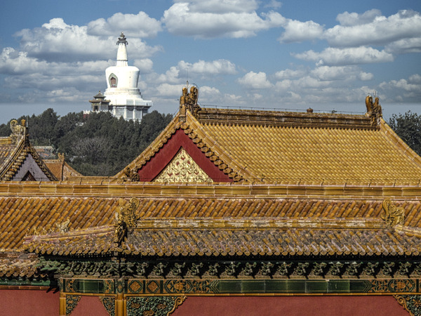 PALACE COMPLEX Print