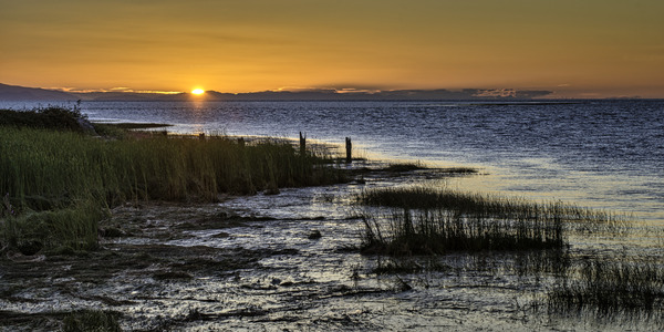 SEASCAPE 2022 Print