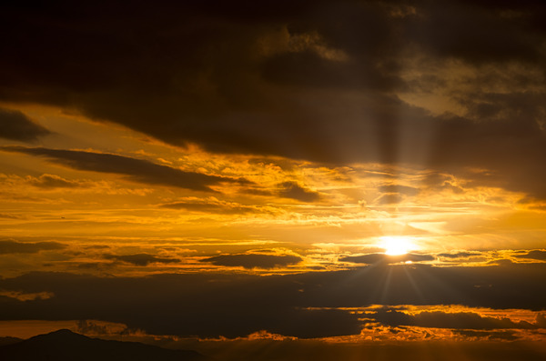 SUNBURST 2023 Print