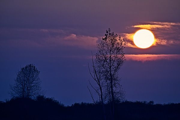 SUNSET AT STEVESTON Print
