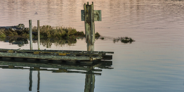 WATER REFLECTIONS Print