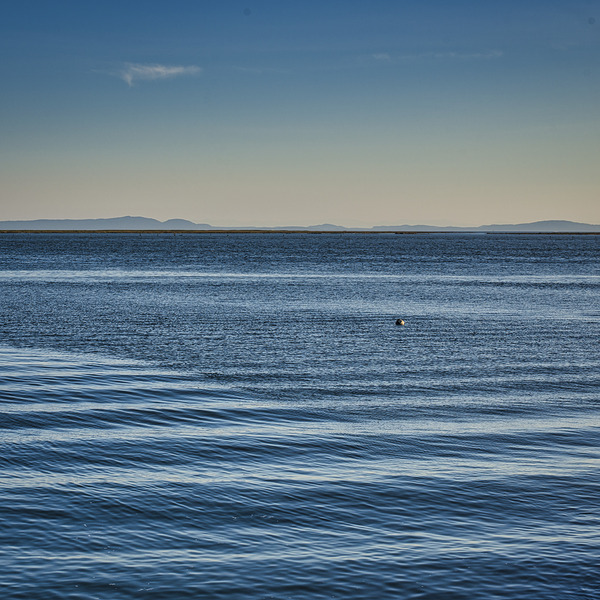 WAVES 2022 Print