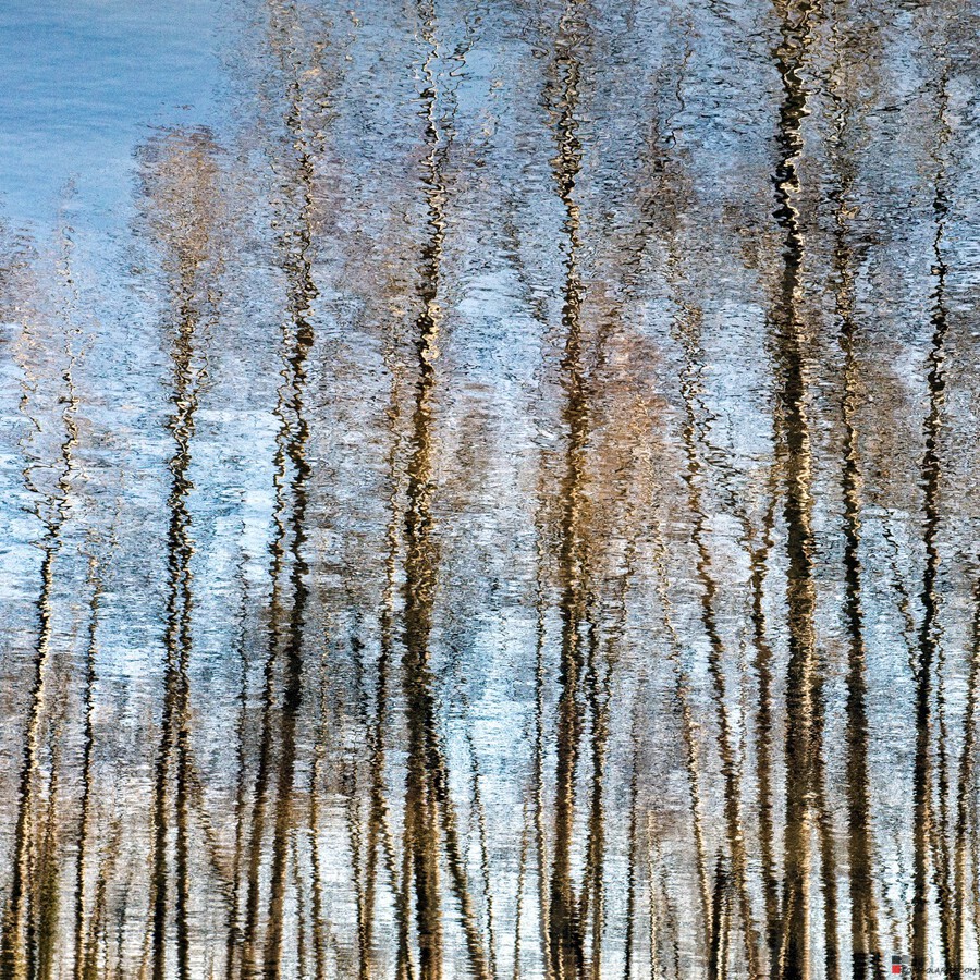 Photos to Canvas
