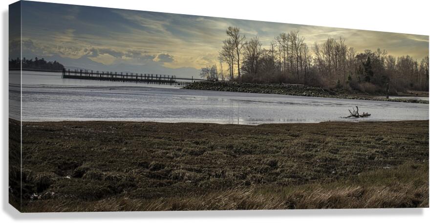 FS240313 71 Canvas Print