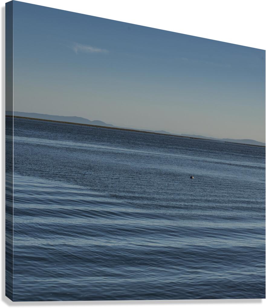 BLUEWATER 2022 Canvas Print