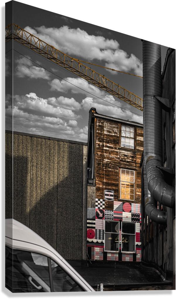 FS210331 08 Canvas Print