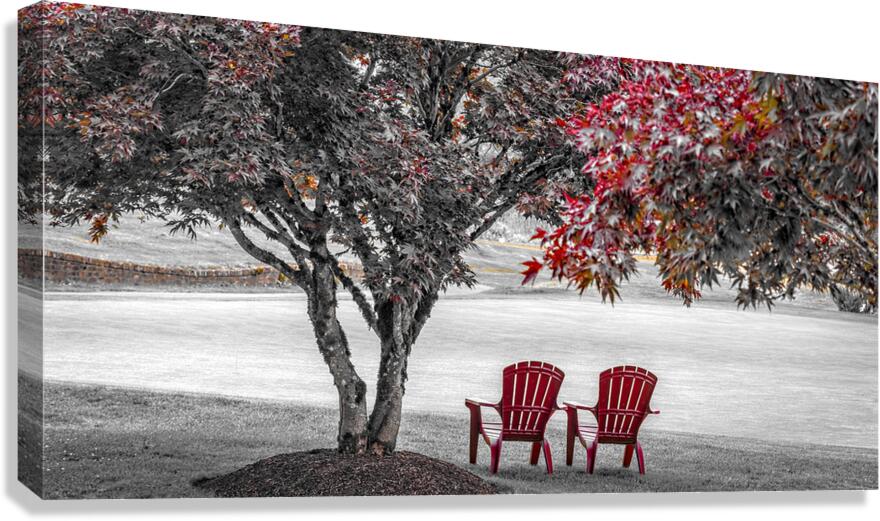 FS210731 RED CHAIRS Canvas Print