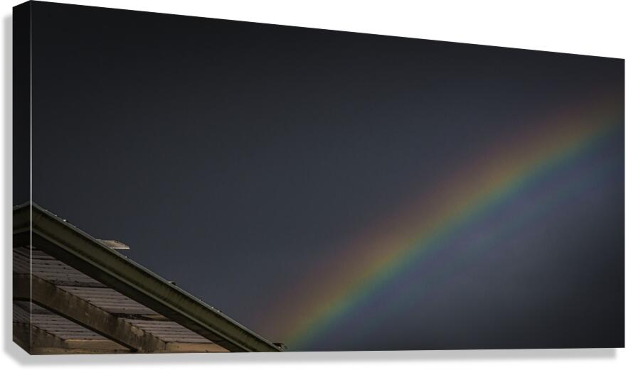 FS200522 Canvas Print