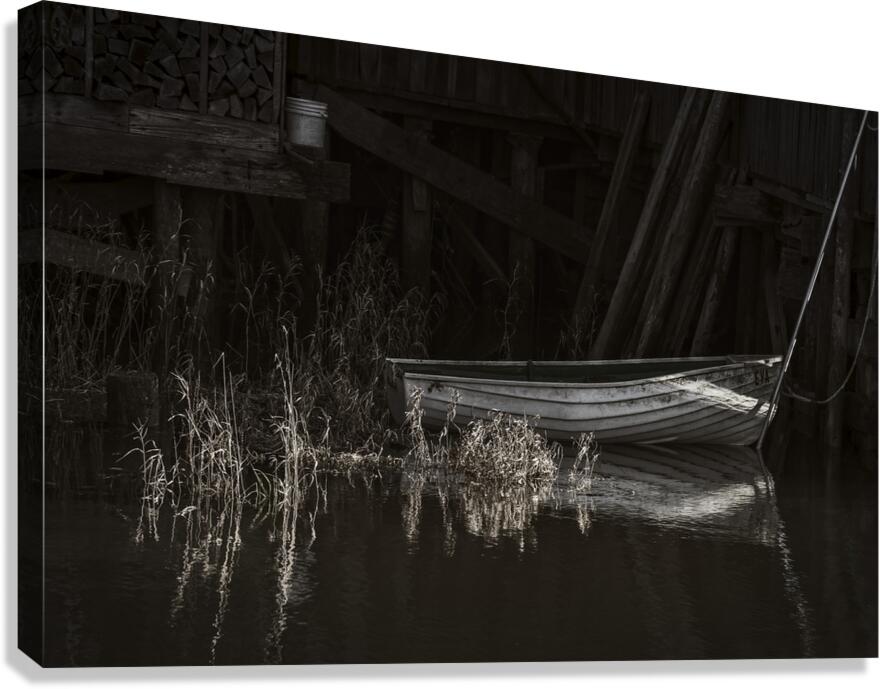 FS191027 EVA 2 Canvas Print