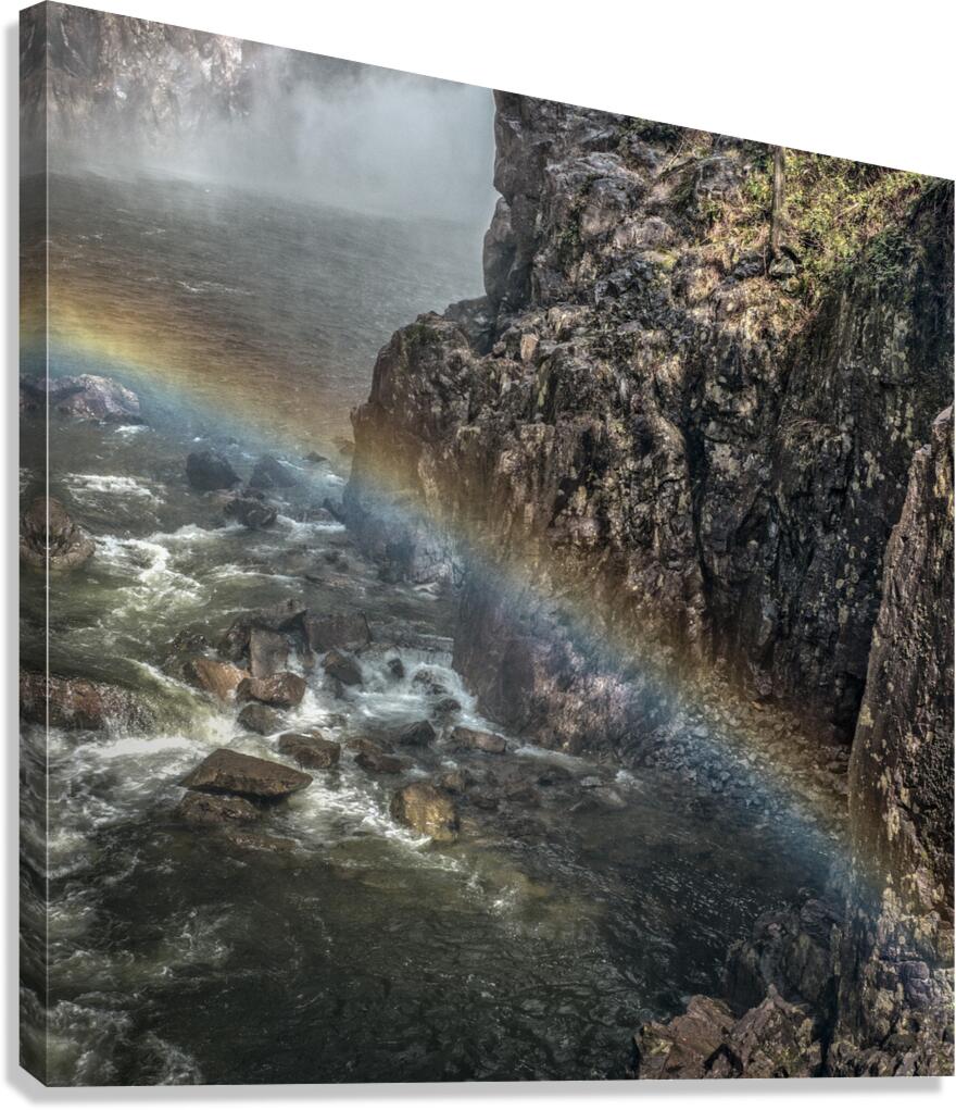 FS180417 SS Canvas Print