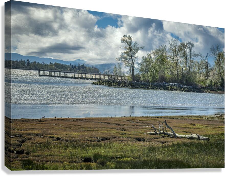 FS240416 Canvas Print