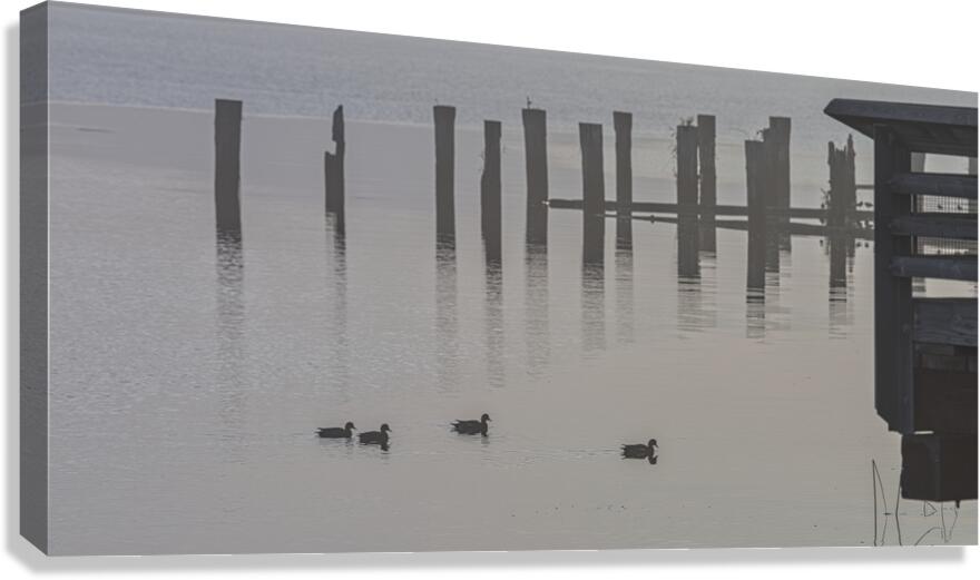 FS221019 Fog In The Morning Canvas Print