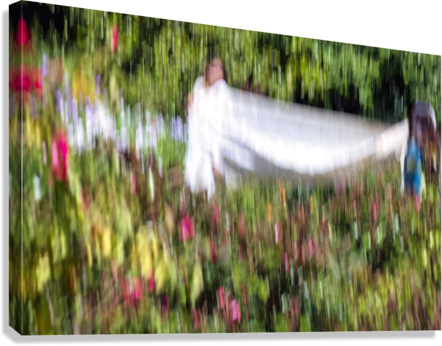 20240615 icm Canvas Print