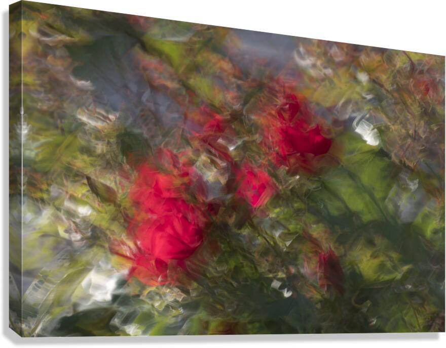 20240615 207 Canvas Print