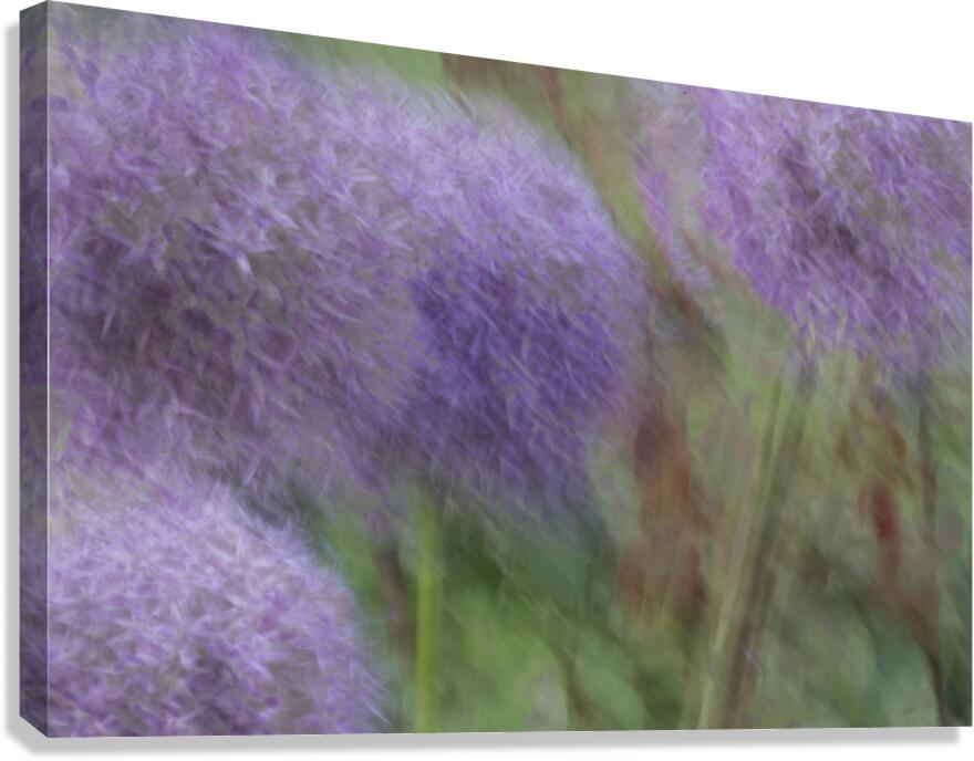 20240615 260 Canvas Print