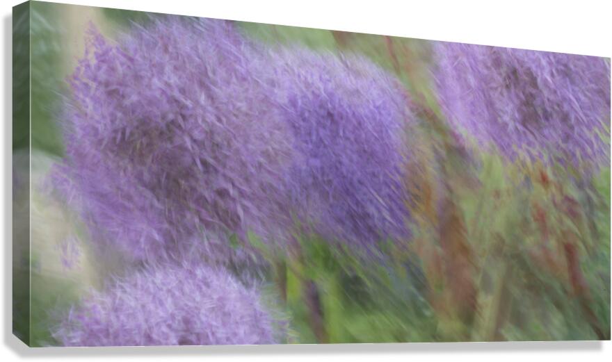 20240615 259 Canvas Print