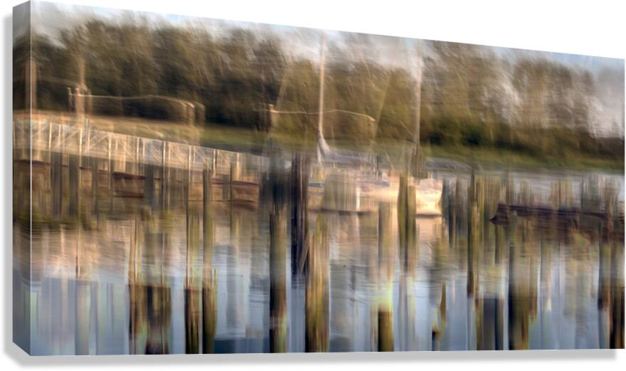 fs240618DW Canvas Print