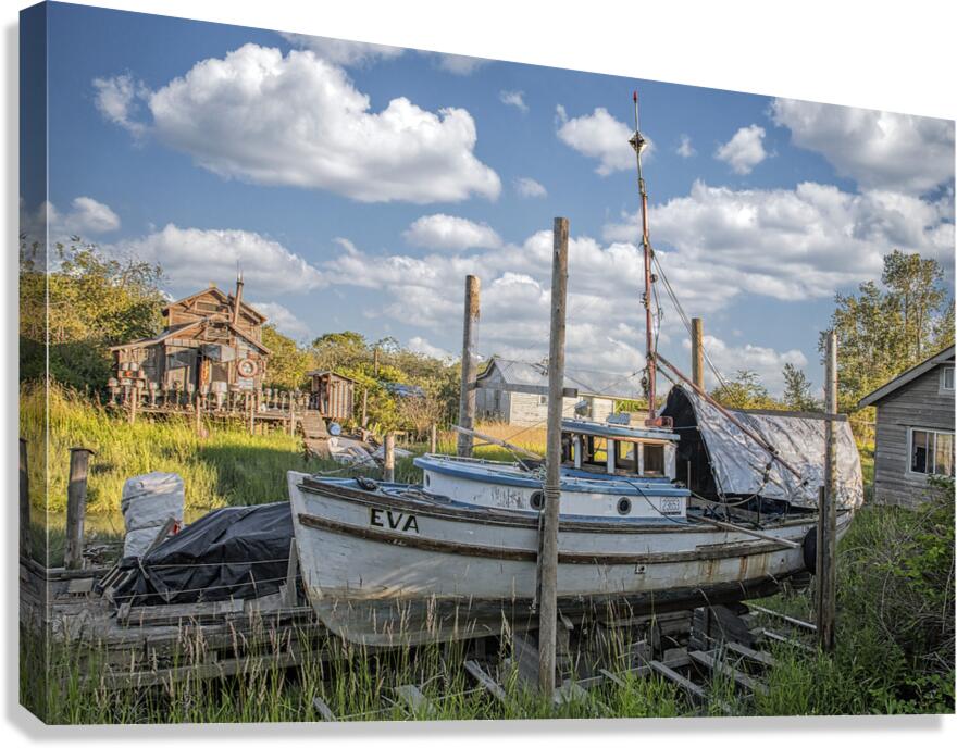 FS240701 Canvas Print