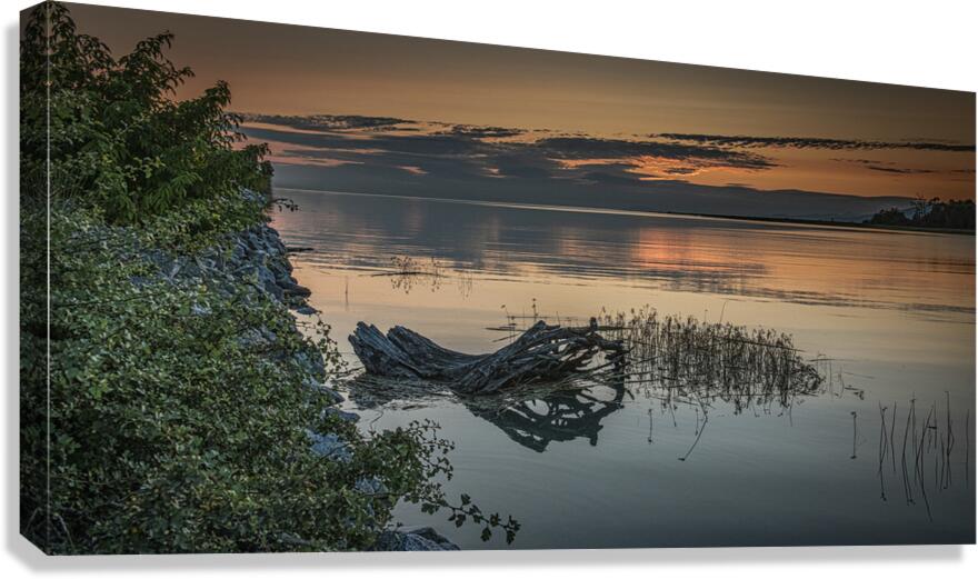 FS240723DW Canvas Print
