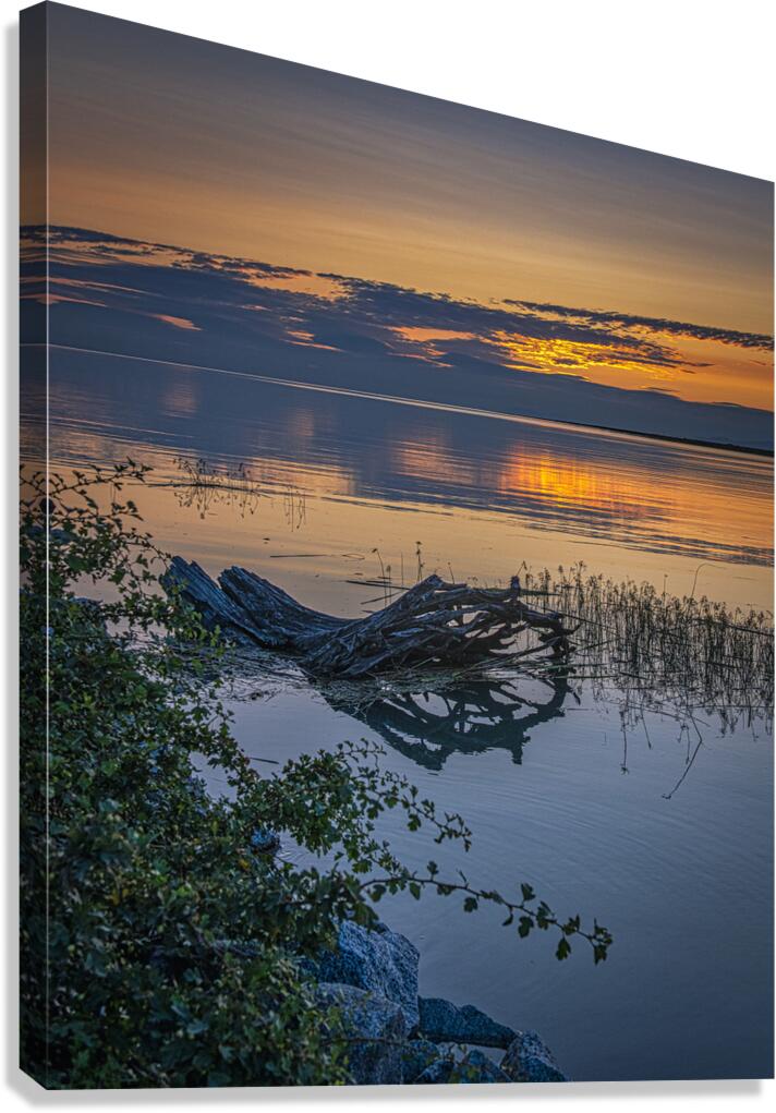 FS240723A2 Canvas Print