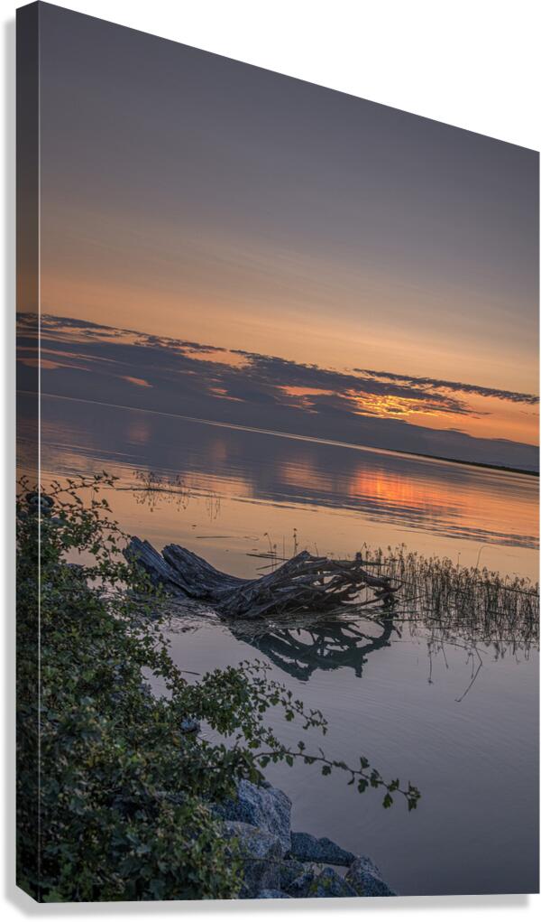 FS240723 11 Canvas Print