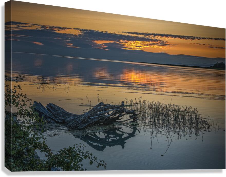 FS240723  2 Canvas Print