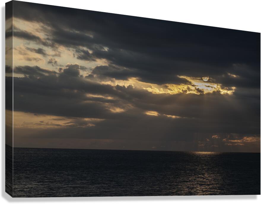 FS240722 Canvas Print