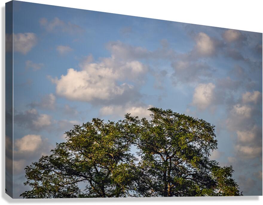 CLOUDSCAPE 2024 Canvas Print