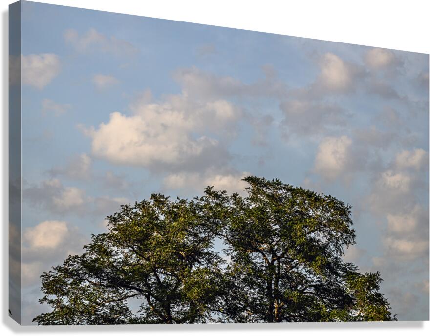 FS240802 CLOUDSCAPE Canvas Print