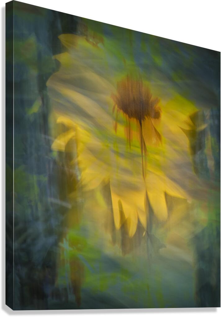 FS240818 04 Canvas Print