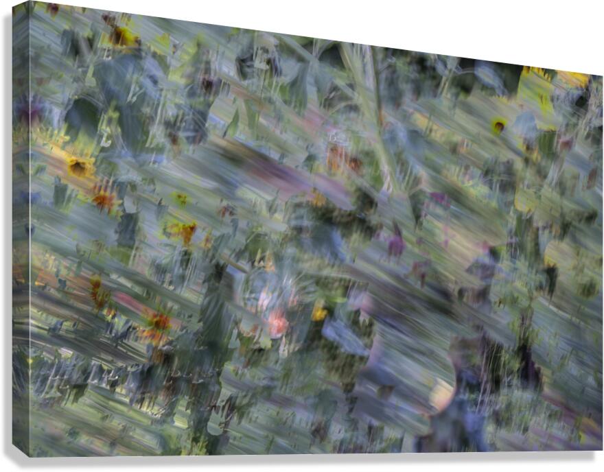 20240820 310 Canvas Print