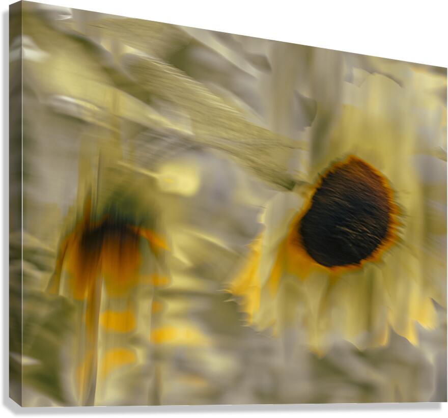 FS240824 44 Canvas Print
