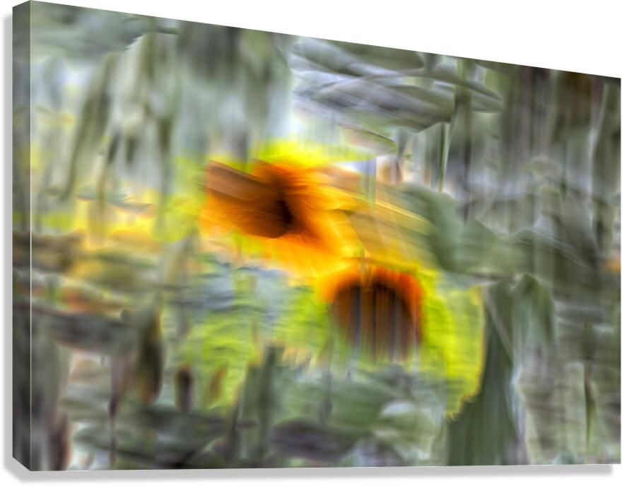 FS240824 410 Canvas Print