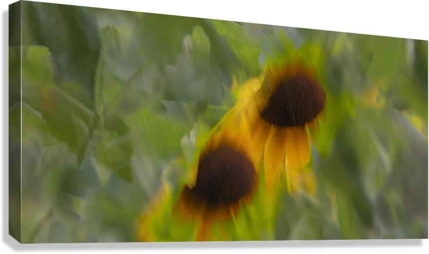 20240824 42 Canvas Print