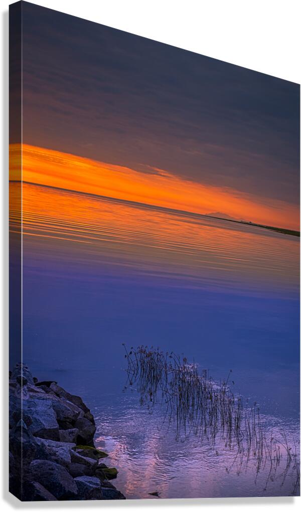 FS240816 Canvas Print