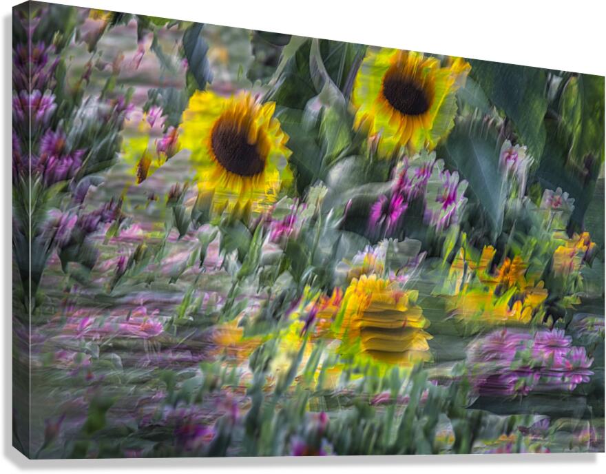 FS240902 Canvas Print
