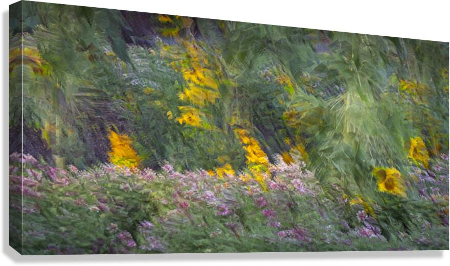 FS240831 Canvas Print