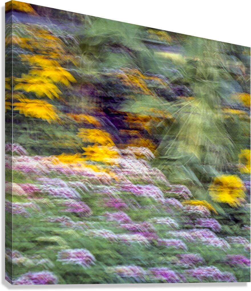 FS240831S Canvas Print