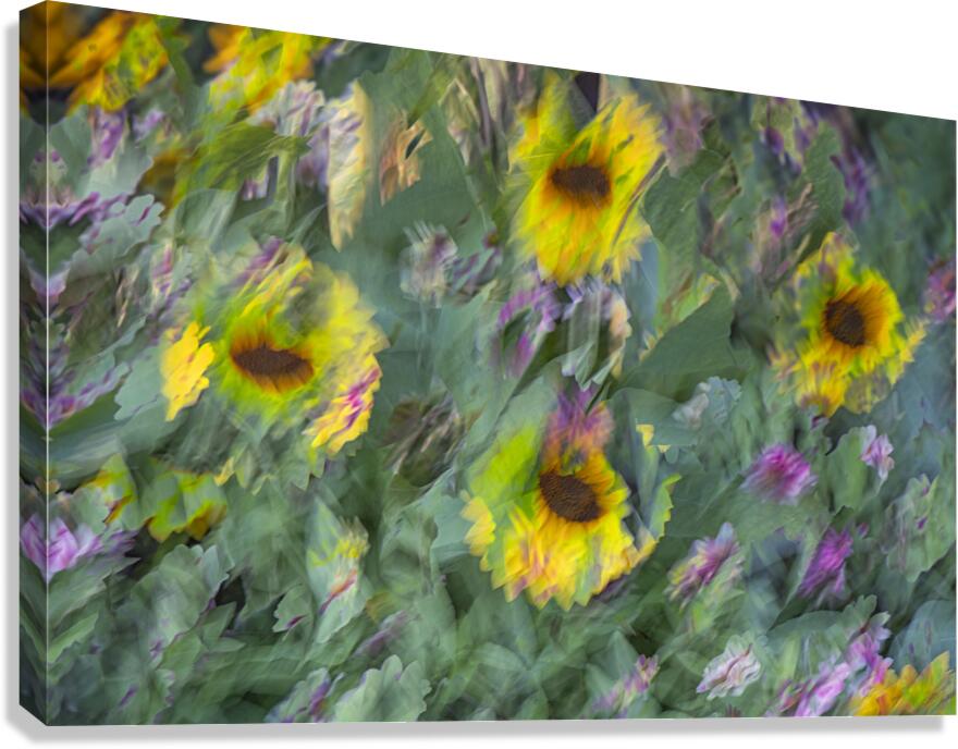FS240831 68 Canvas Print