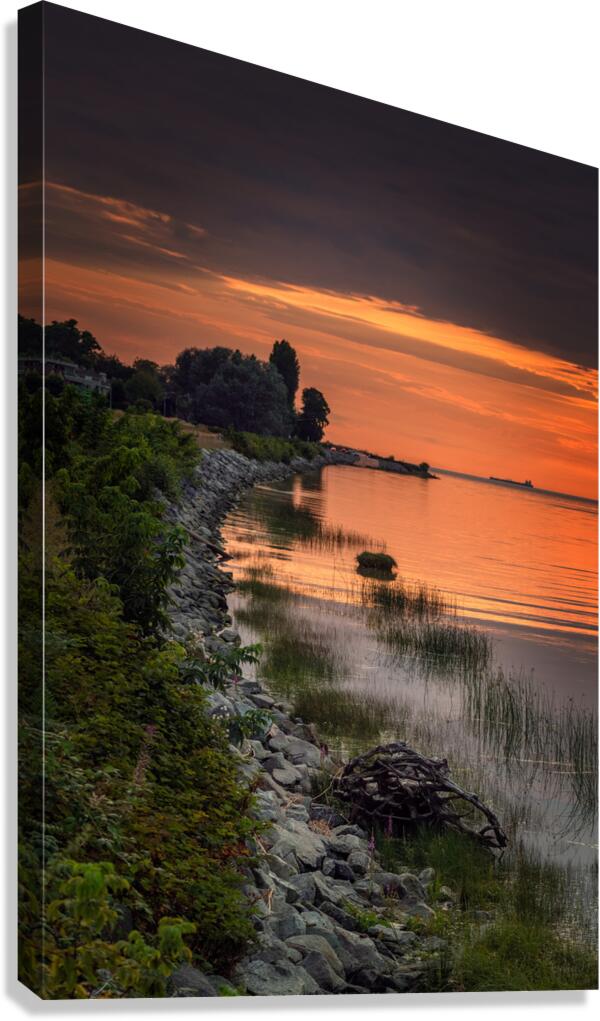 FS240816 22 Canvas Print