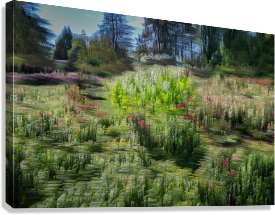 FS240920 Canvas Print