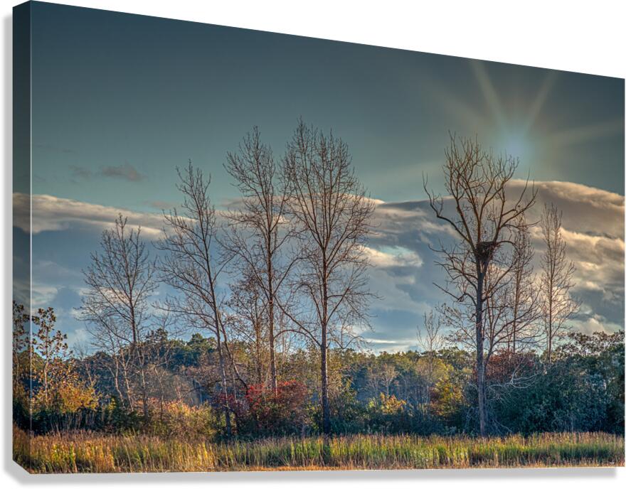 FS241004 Canvas Print