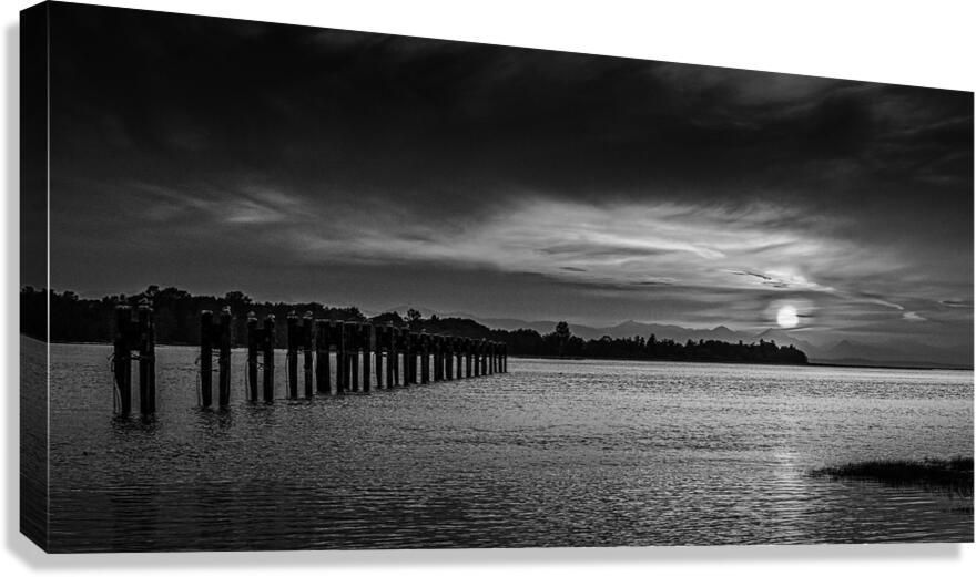 FS221006DW2 Canvas Print