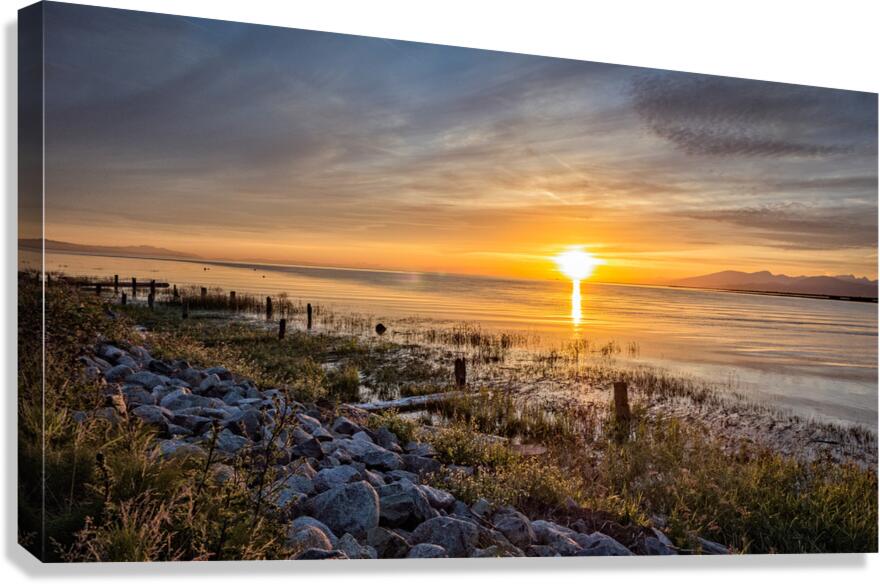 FS 150688 Canvas Print