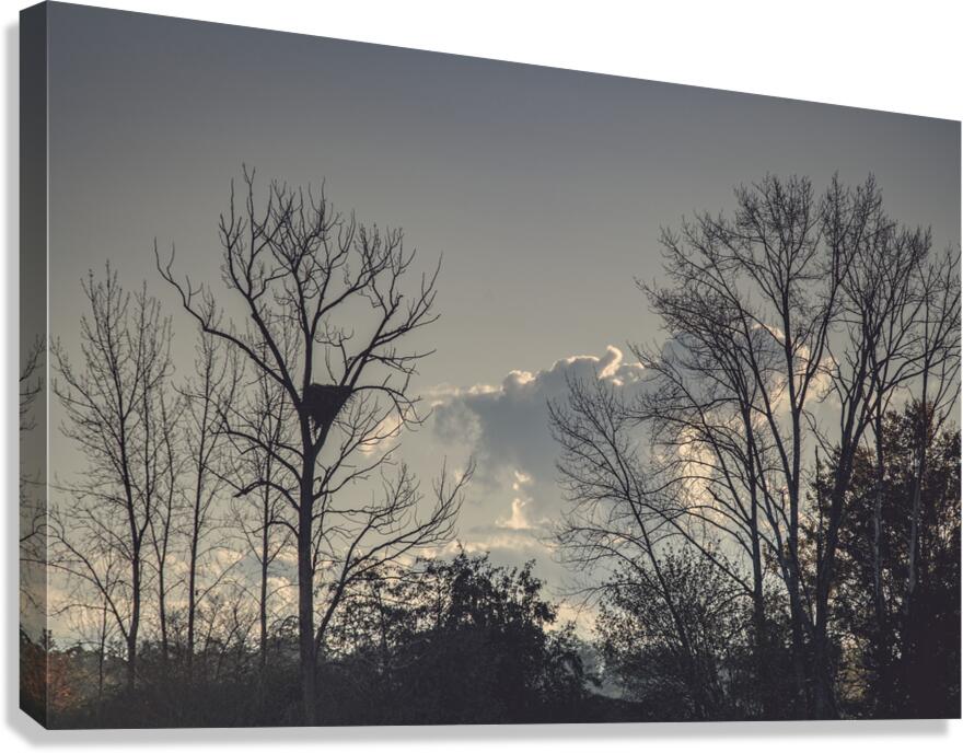 FS241022 Canvas Print