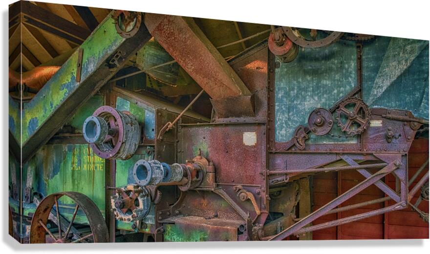 RUST ART 2024 Canvas Print