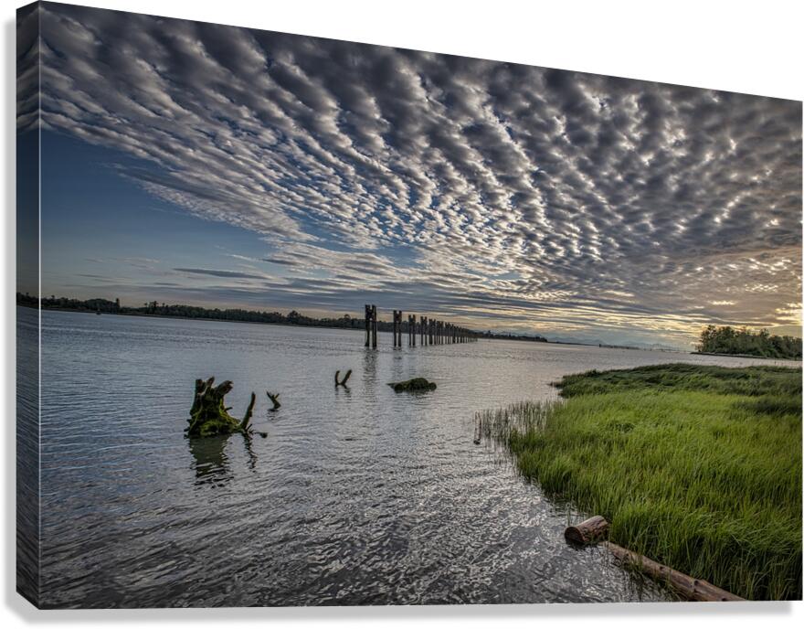 FS240630 Canvas Print