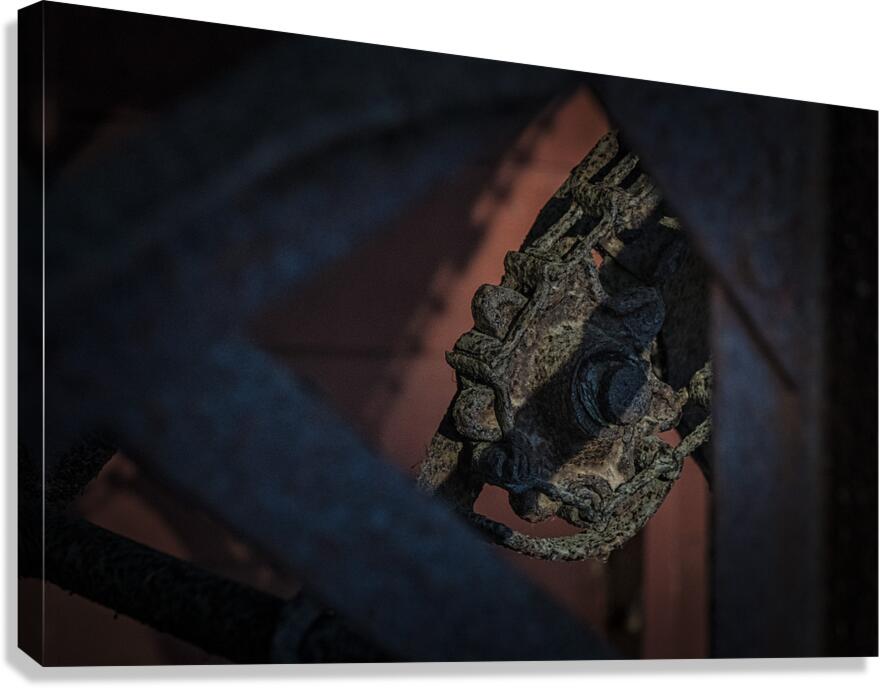 FS241115 RUST Canvas Print