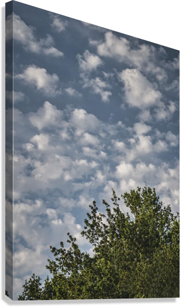 FS240802 CLOUDSCAPE Canvas Print