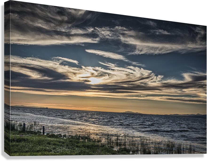 FS240801 Canvas Print